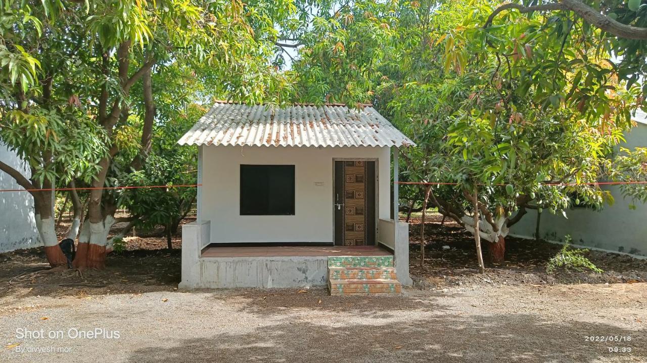 Gir Madhuli Farmhouse Sasan Gir Ngoại thất bức ảnh