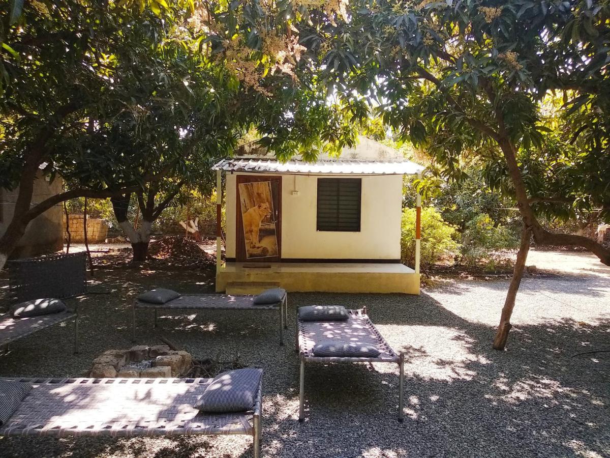 Gir Madhuli Farmhouse Sasan Gir Ngoại thất bức ảnh